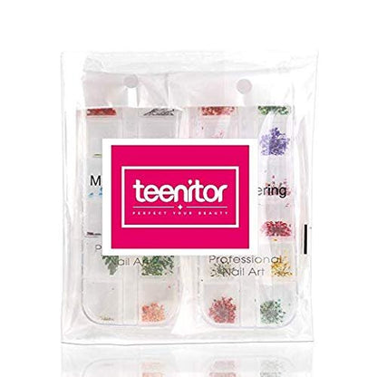 Teenior 24 Colors Nail Dried Flowers - 3D Nail Art Stickers for Tips Manicure Decor, Mixed Leaves and Flowers (2 Boxes)