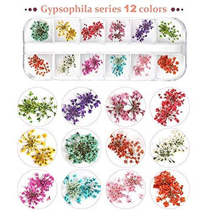 Teenior 24 Colors Nail Dried Flowers - 3D Nail Art Stickers for Tips Manicure Decor, Mixed Leaves and Flowers (2 Boxes)
