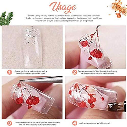 Teenior 24 Colors Nail Dried Flowers - 3D Nail Art Stickers for Tips Manicure Decor, Mixed Leaves and Flowers (2 Boxes)