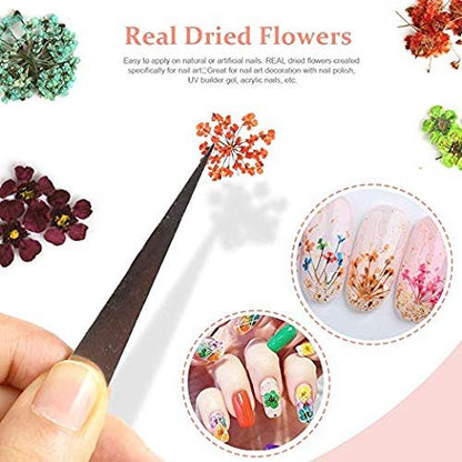 Teenior 24 Colors Nail Dried Flowers - 3D Nail Art Stickers for Tips Manicure Decor, Mixed Leaves and Flowers (2 Boxes)