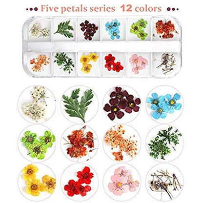 Teenior 24 Colors Nail Dried Flowers - 3D Nail Art Stickers for Tips Manicure Decor, Mixed Leaves and Flowers (2 Boxes)