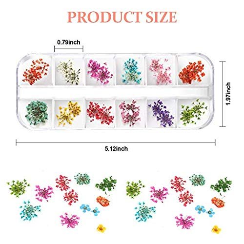 Teenior 24 Colors Nail Dried Flowers - 3D Nail Art Stickers for Tips Manicure Decor, Mixed Leaves and Flowers (2 Boxes) - görsel 3