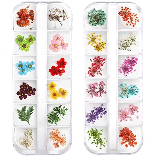 Teenior 24 Colors Nail Dried Flowers - 3D Nail Art Stickers for Tips Manicure Decor, Mixed Leaves and Flowers (2 Boxes) - görsel 2