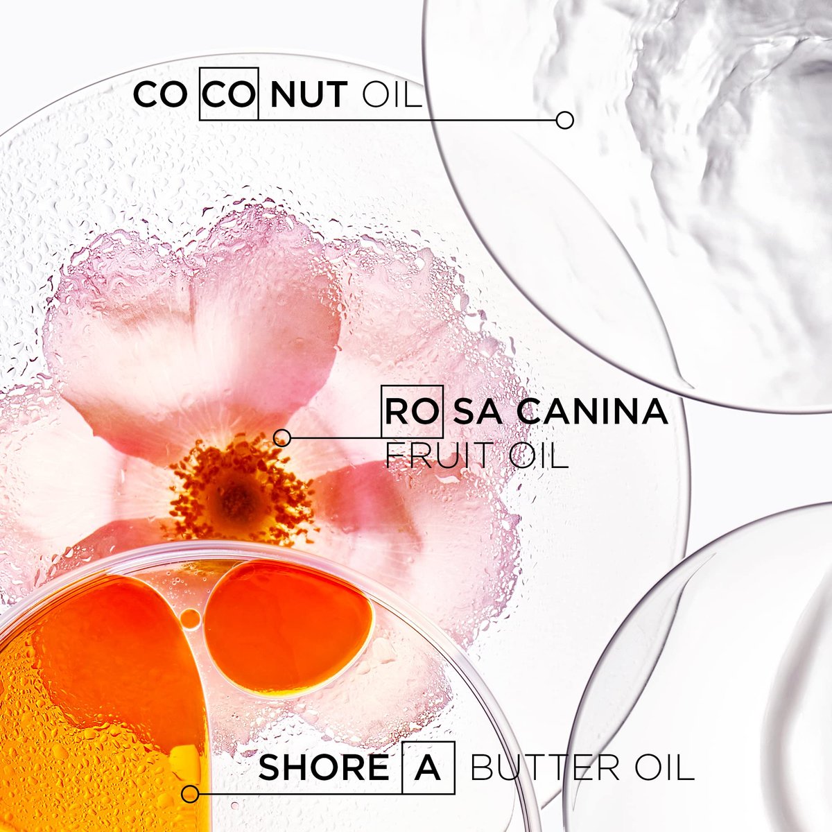 Kérastase Discipline Masque Oleo-Relax Hair Mask – Deep Nourishing & Moisturizing Hair Mask with Shorea Butter and Coconut Oil for All Hair Types, 6.8 Fl Oz Avelisse