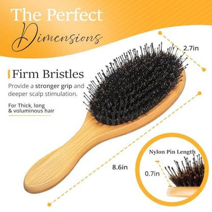 Belula Boar Bristle Hair Brush – Natural Bamboo & Boar Bristle Detangler for Women and Men, Ideal for Curly, Thick, Fine, or Long Hair