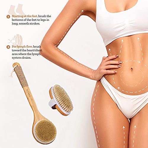 TEMEAYE Dry Brushing Body Brush Set – Wooden Handle with Medium Strength Natural Bristles for Gentle Exfoliation, Lymphatic Drainage & Softer Skin (2 Piece Set) Avelisse