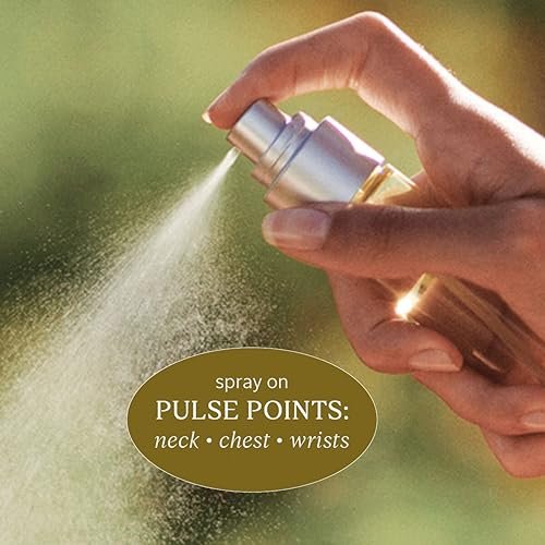 L'OCCITANE Verbena Roll-On Eau de Toilette – 0.33 fl oz Avelisse