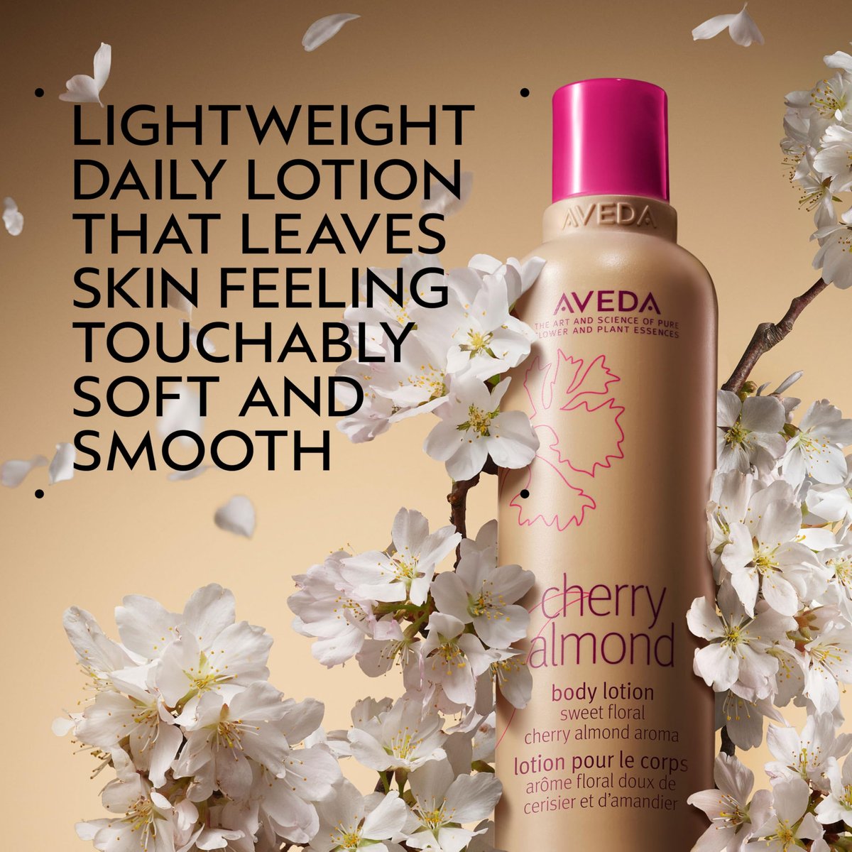 Aveda Cherry Almond Body Lotion – Sweet Almond Oil & Cherry Blossom Extract – 6.7 fl oz Avelisse