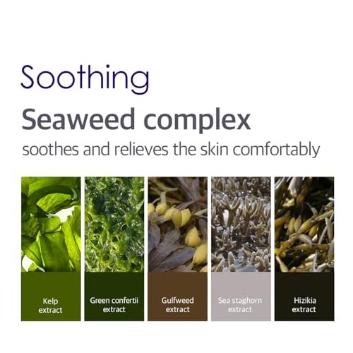 Petitfee Agave Cooling Hydrogel Face Mask 5ea - Quick Calming Facial Mask with Blue Energy Complex, Agave, Blueberry, Eggplant, Caffeine Extracts, Moisturizing, Soothing Care - görsel 12