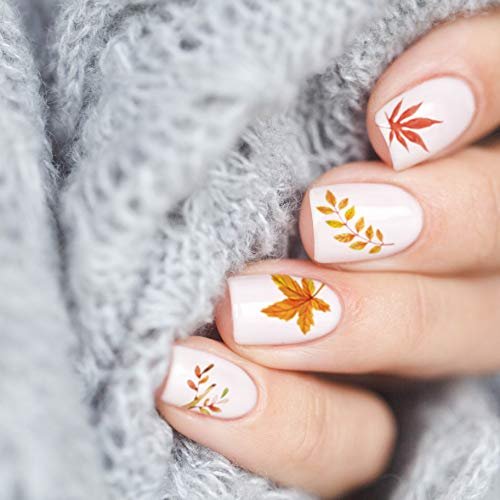 Adurself 1000+ Patterns Autumn Nail Art Decals - Fall 3D Nail Stickers Harvest Pumpkin Maple Leaves Sunflower Squirrel for Women Girls Kids DIY Nail Design Manicure Thanksgiving Day - görsel 7