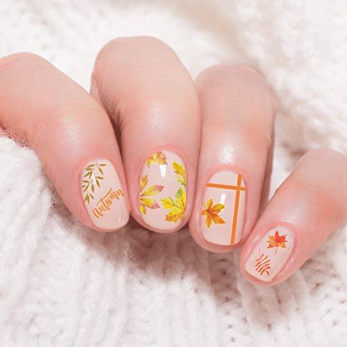 Adurself 1000+ Patterns Autumn Nail Art Decals - Fall 3D Nail Stickers Harvest Pumpkin Maple Leaves Sunflower Squirrel for Women Girls Kids DIY Nail Design Manicure Thanksgiving Day - görsel 11