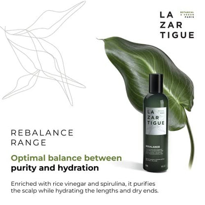 Lazartigue Rebalance Shampoo – Rice Vinegar & Spirulina for Oily Roots, Moisture Balance, Vegan, Sulfate & Silicone Free, 8.4 Fl Oz