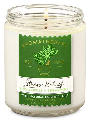 Bath & Body Works Aromatherapy Stress Relief Diffuser Set – Eucalyptus Spearmint Body Lotion, Body Wash & Foam Bath, Wick Candle – 3-Piece Wellness Bundle Avelisse