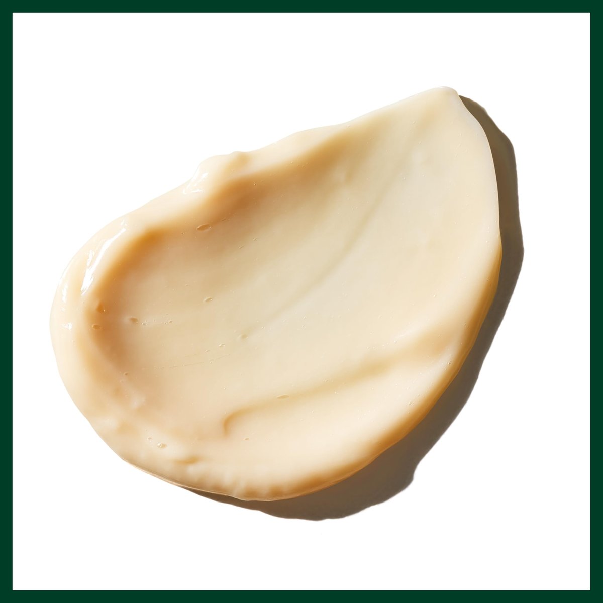 Aveda Sap Moss Weightless Hydration Conditioner – Hydrates, Detangles, Fights Frizz – Silicone Free – 6.7 fl oz Avelisse