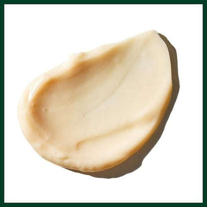 Aveda Sap Moss Weightless Hydration Conditioner – Hydrates, Detangles, Fights Frizz – Silicone Free – 6.7 fl oz Avelisse