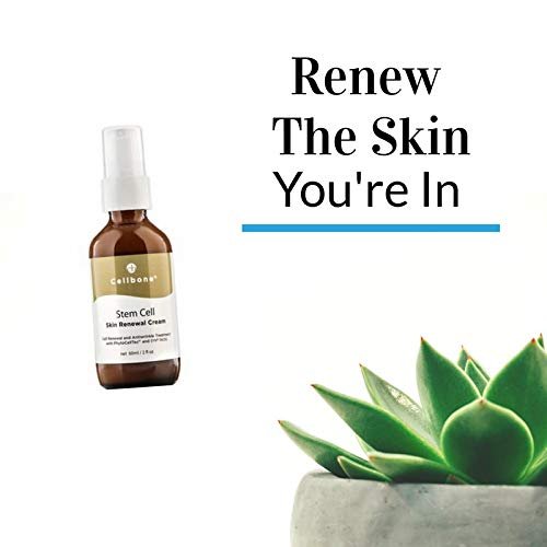 Cellbone STEMCELL Skin Renewal Cream - 2 oz - görsel 3
