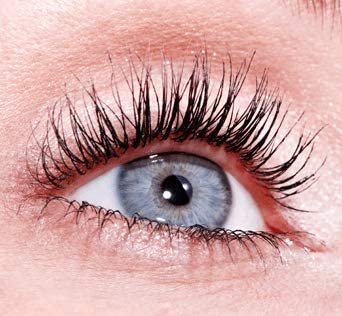 Essence Lash Princess Volume Mascara, Cruelty Free, Black, 1.2 Fl Oz (Pack of 3) Avelisse