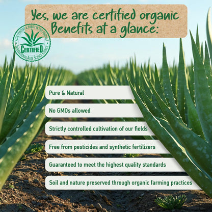 Soena Aloe Vera Gel Organic – Pure Aloe Leaf Juice, Vegan, Unscented, Certified Organic, Made in Germany – Moisturizer for Face, Skin, Hair & Sunburn Relief (8.45 Fl Oz) Avelisse