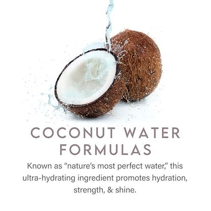 ALURAM Coconut Water Moisturizing Shampoo - Hydrating Shampoo for Medium to Coarse Hair, 12 oz