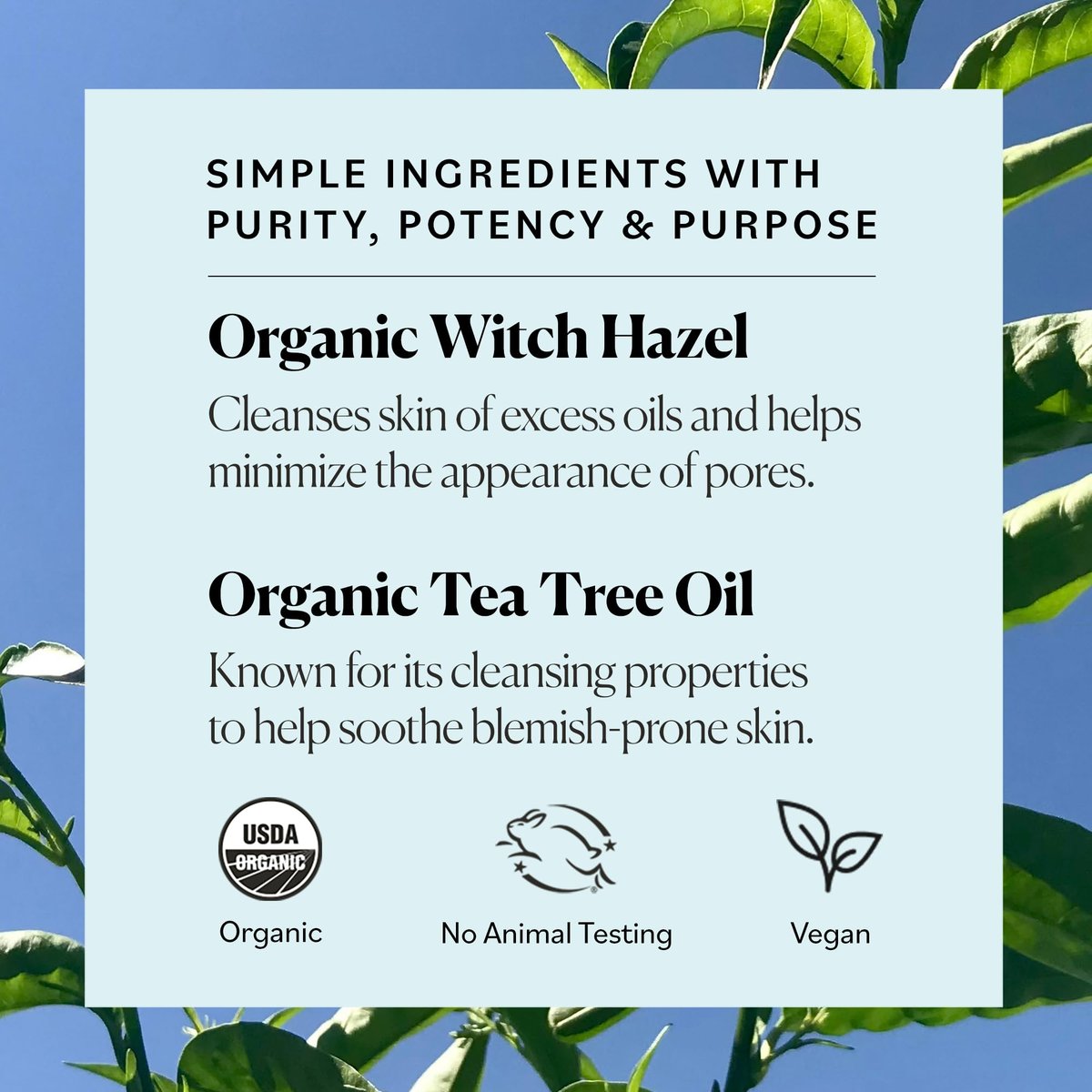 Sky Organics Organic Tea Tree & Witch Hazel Purifying Facial Toner for Blemish-Prone Skin, 8 fl oz Avelisse