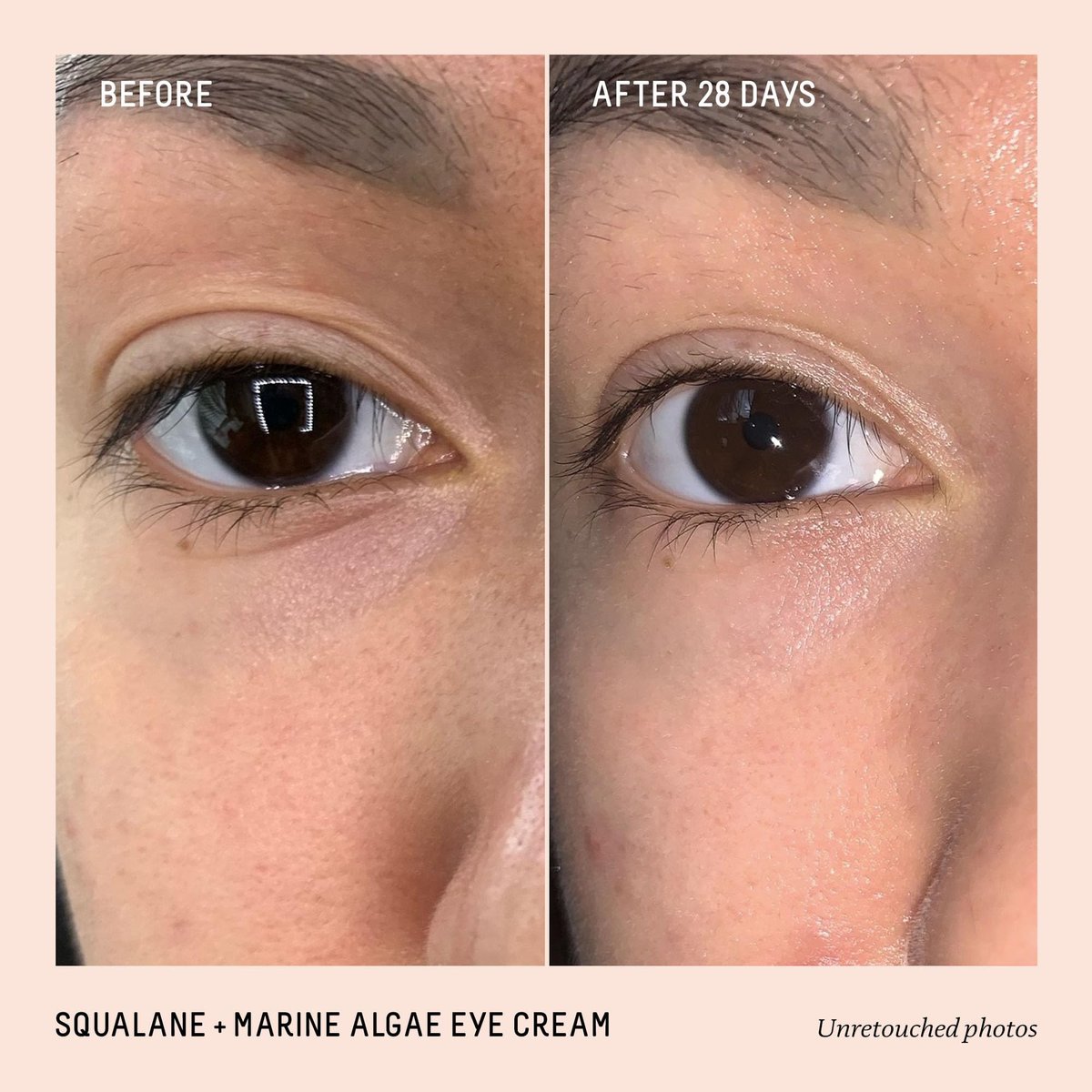 BIOSSANCE Squalane and Marine Algae Eye Cream - Anti-Aging Eye Cream for Fine Lines, Wrinkles, and Puffiness - Hydrating & Lifting Formula with Hyaluronic Acid and Paracress Extract - 0.5 oz Avelisse