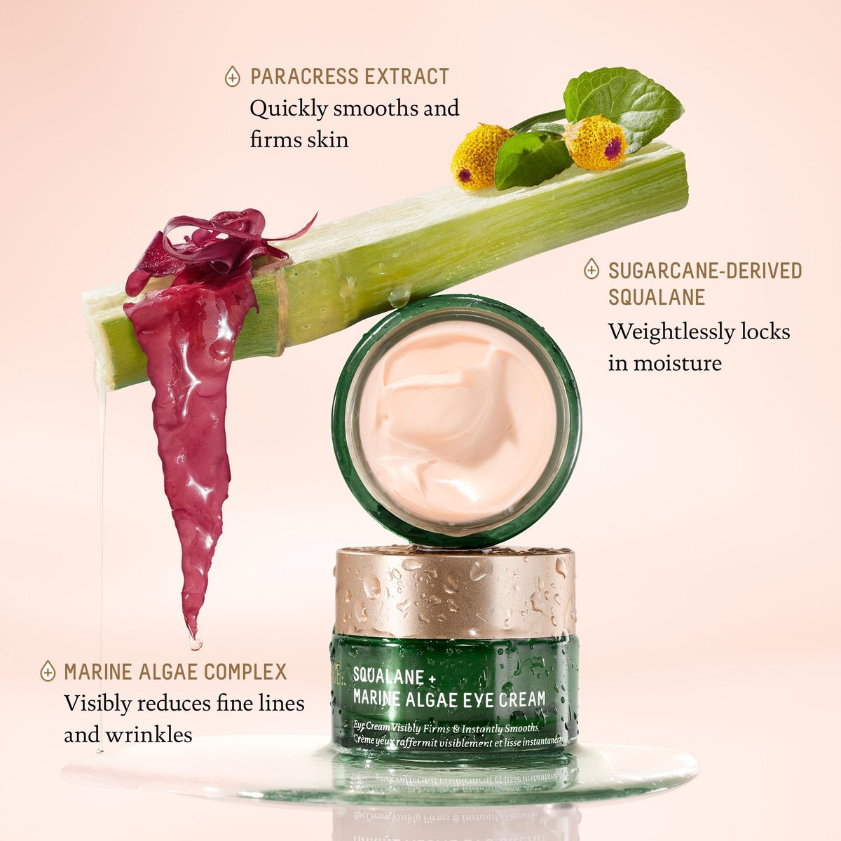 BIOSSANCE Squalane and Marine Algae Eye Cream - Anti-Aging Eye Cream for Fine Lines, Wrinkles, and Puffiness - Hydrating & Lifting Formula with Hyaluronic Acid and Paracress Extract - 0.5 oz Avelisse