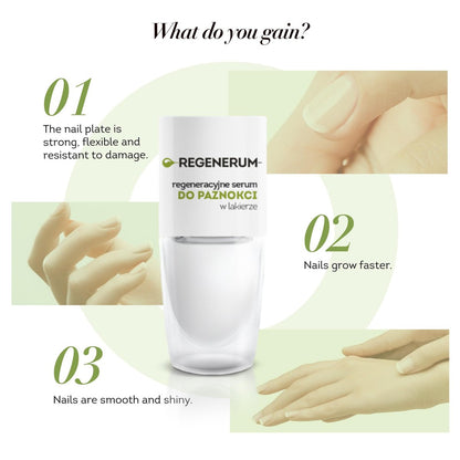 Regenerum Regenerative Nail Polish Serum – Strengthen & Protect Nail Plate with Vitamin Complex, Minerals & Algae Oil, Stimulates Growth (8 ml)
