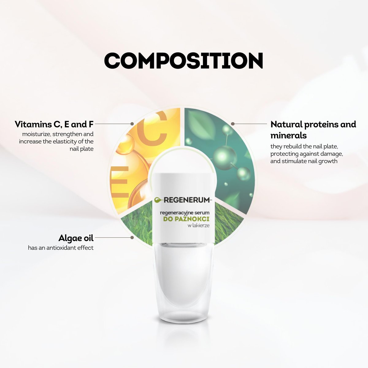 Regenerum Regenerative Nail Polish Serum – Strengthen & Protect Nail Plate with Vitamin Complex, Minerals & Algae Oil, Stimulates Growth (8 ml) - görsel 3