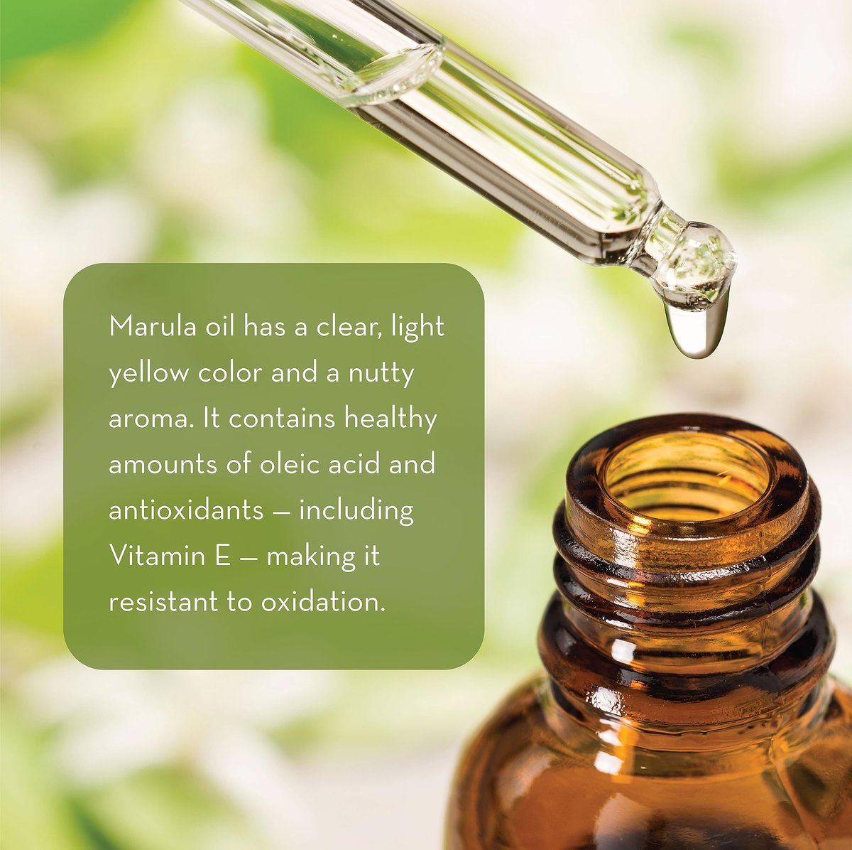 Pure Body Naturals Marula Facial Oil - Cold-Pressed, 100% Natural Face and Hair Oil for Dry, Sensitive, and Acne-Prone Skin - 1 Fl Oz - görsel 5