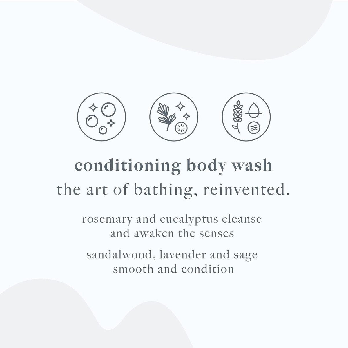 Dermalogica Conditioning Hand + Body Wash – Gentle Cleansing Shower Gel with Tea Tree & Eucalyptus Oil, 10 Fl Oz Avelisse