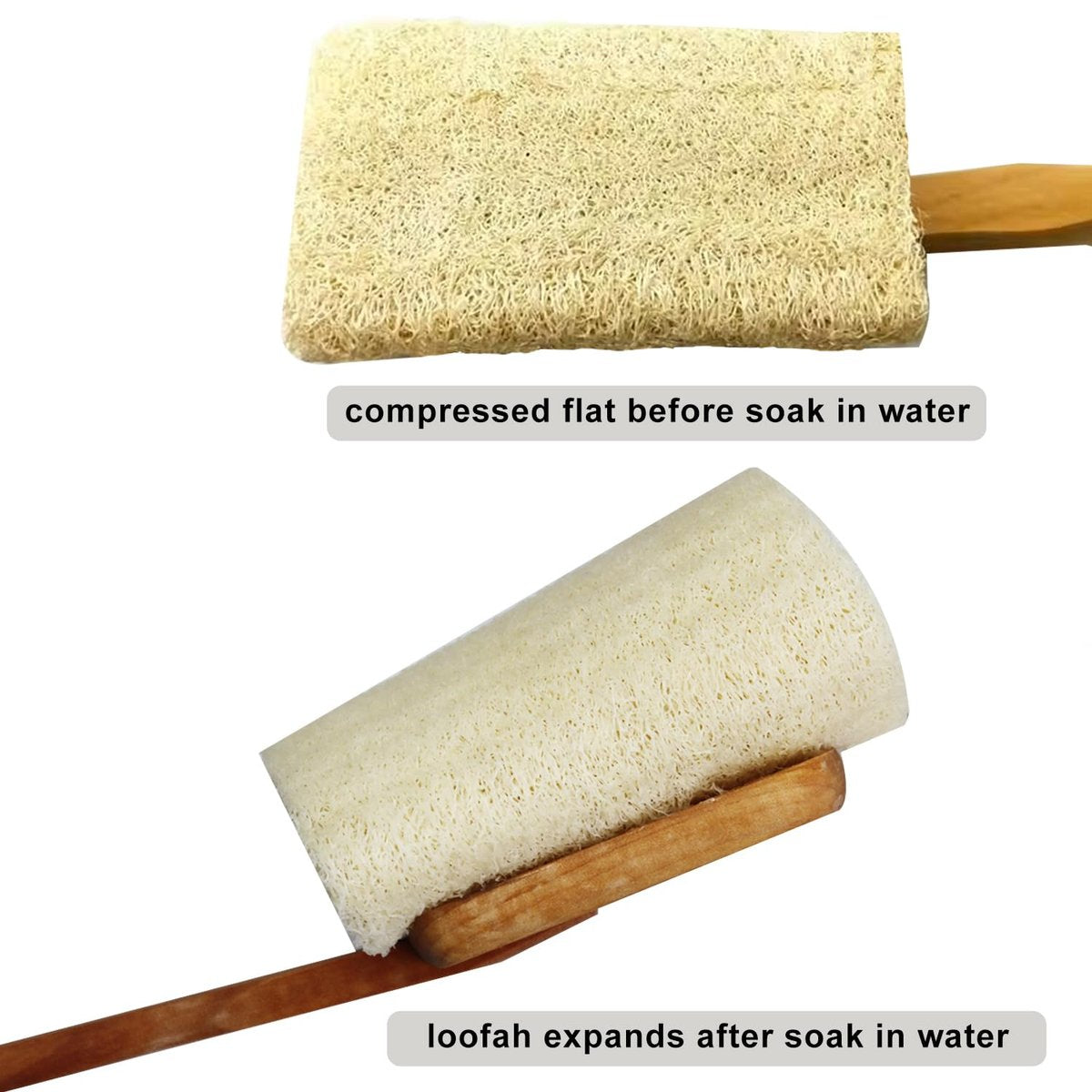 Natural Exfoliating Loofah Luffa Bath Brush on a Stick – 2 Pack Long Wooden Handle Back Scrubber for Men & Women - görsel 13