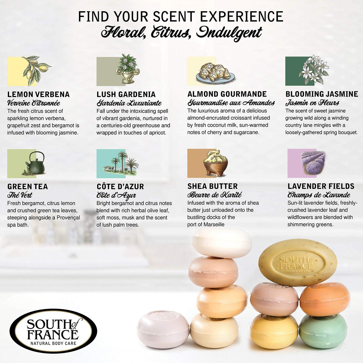 South Of France Natural Body Care Triple Milled Large 6OZ Bar Soap – Variety Pack 1 (8 Bars) Avelisse
