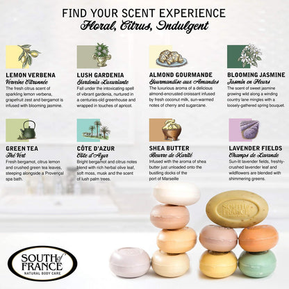 South Of France Natural Body Care Triple Milled Large 6OZ Bar Soap – Variety Pack 1 (8 Bars) Avelisse