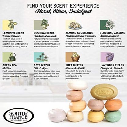 South Of France Natural Body Care Triple Milled Large 6OZ Bar Soap – Variety Pack 1 (8 Bars) Avelisse