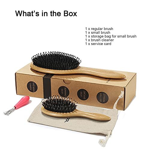 BESTOOL Boar Bristle Hair Brush Set (Regular & Small) for Women, Men, Kids – Detangling, Softening, and Silky Shine for All Hair Types Avelisse