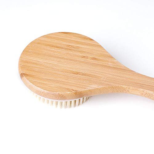 Ithyes Body Brush for Dry Brushing – Long Handle Bamboo Brush with Natural Bristles for Exfoliating, Massage, and Improved Circulation - görsel 6