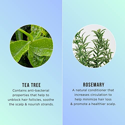 HASK Invigorating Tea Tree Oil 5-in-1 Leave In Conditioner Spray - 2 Pack, Color Safe, Gluten Free, Sulfate Free, Paraben Free Avelisse