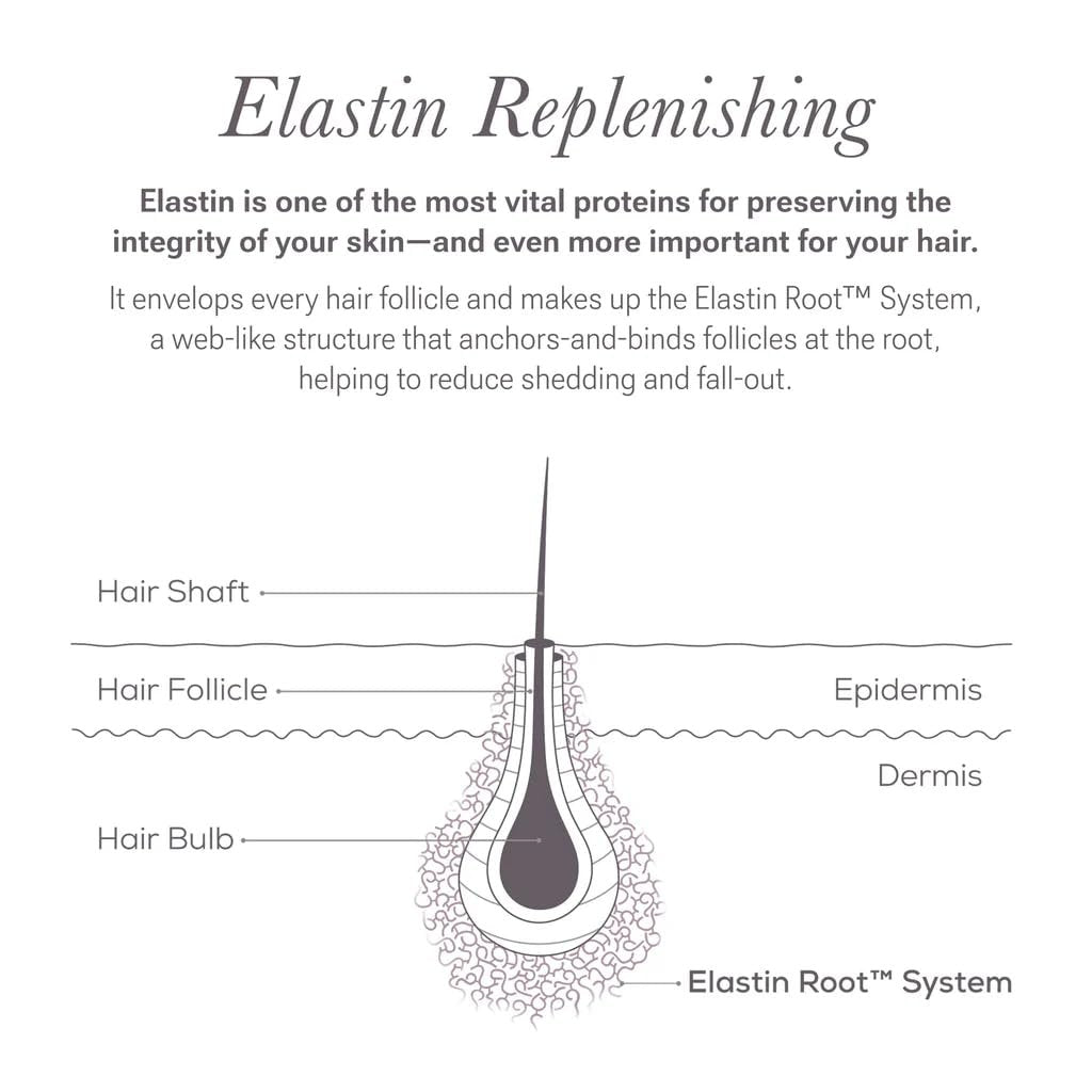 NULASTIN Eyelash & Brow Serum Dual System – Lash & Brow Enhancing Serums with Keratin & Peptides for Fuller Looking Lashes & Brows (2 Count, 0.1 Fl Oz Each) Avelisse