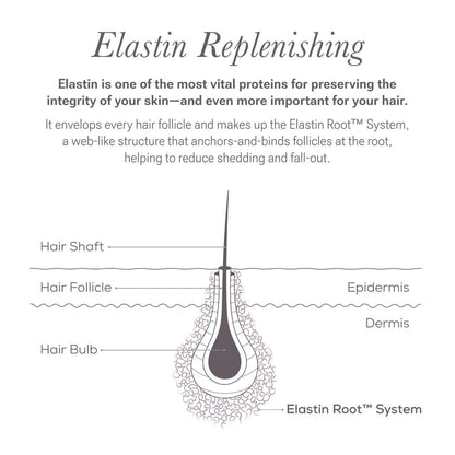 NULASTIN Eyelash & Brow Serum Dual System – Lash & Brow Enhancing Serums with Keratin & Peptides for Fuller Looking Lashes & Brows (2 Count, 0.1 Fl Oz Each) Avelisse