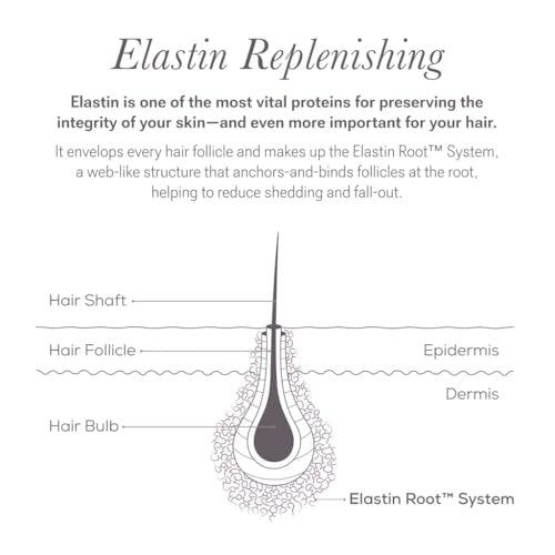 NULASTIN Eyelash & Brow Serum Dual System – Lash & Brow Enhancing Serums with Keratin & Peptides for Fuller Looking Lashes & Brows (2 Count, 0.1 Fl Oz Each) Avelisse
