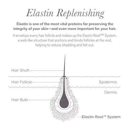 NULASTIN Eyelash & Brow Serum Dual System – Lash & Brow Enhancing Serums with Keratin & Peptides for Fuller Looking Lashes & Brows (2 Count, 0.1 Fl Oz Each) Avelisse