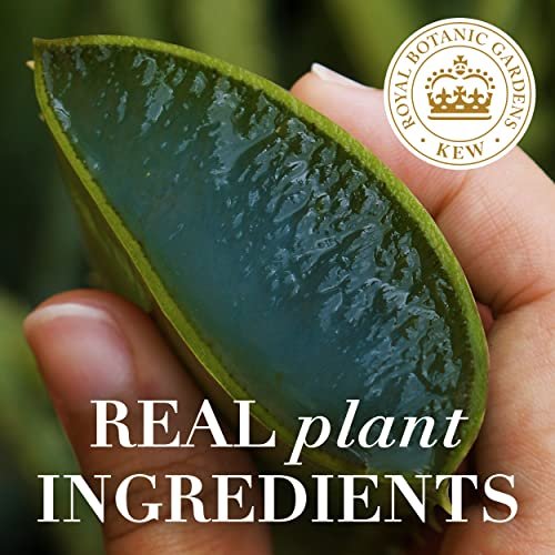 Herbal Essences Bio: Renew Argan Oil & Aloe Lightweight Hair Oil Mist for Repair, 2.92 Fl Oz Avelisse