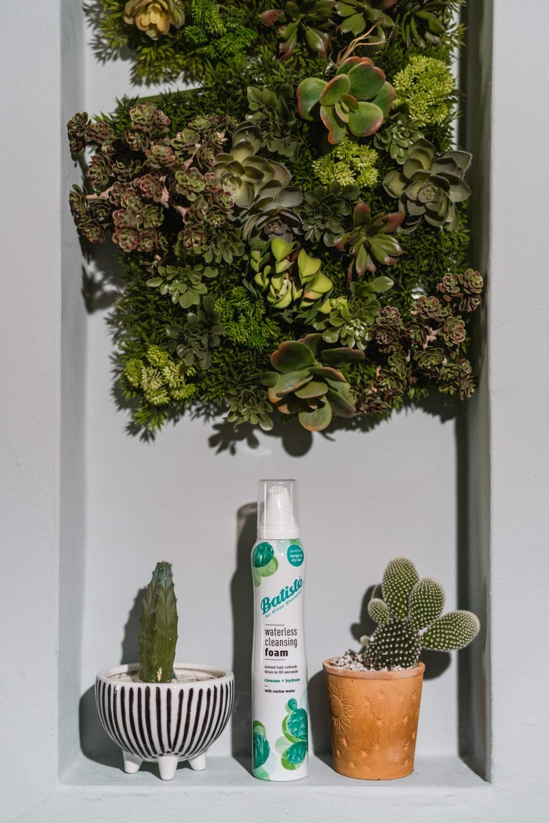 Batiste Waterless Cleansing Foam with Cactus Water - Hydrating Dry Shampoo Foam, 3.6 OZ - görsel 9