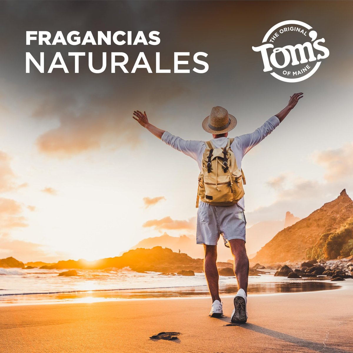 Tom's of Maine Long-Lasting Aluminum-Free Natural Deodorant for Men, Mountain Spring, 2.8 oz. Avelisse