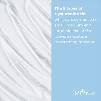 ISNTREE Hyaluronic Acid Water Sleeping Mask 100ml - Overnight Moisturizing Gel Mask for Radiant Glow