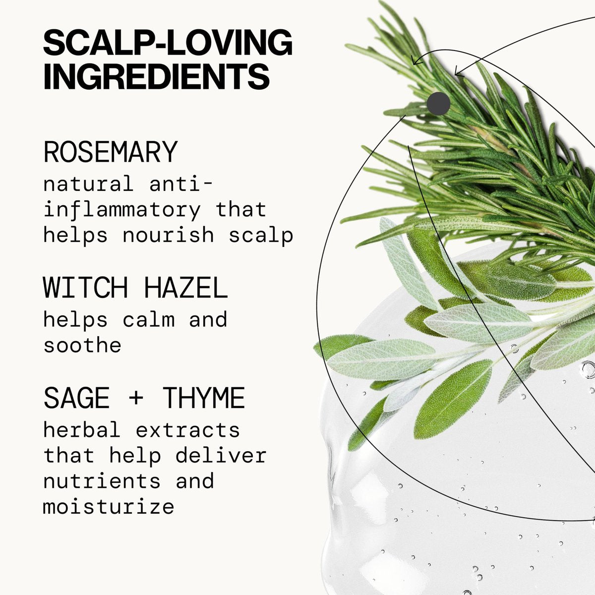 Pacifica Scalp Love Rosemary Mint Serum – Hydrating Treatment for Dry, Flaky, and Itchy Scalp – Vegan & Cruelty-Free – 2 Fl Oz - görsel 13