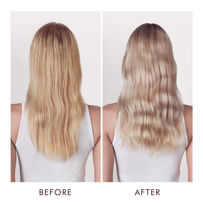 Moroccanoil Blonde Perfecting Purple Shampoo - 6.7 Fl Oz | Tones & Brightens Blonde Hair Avelisse