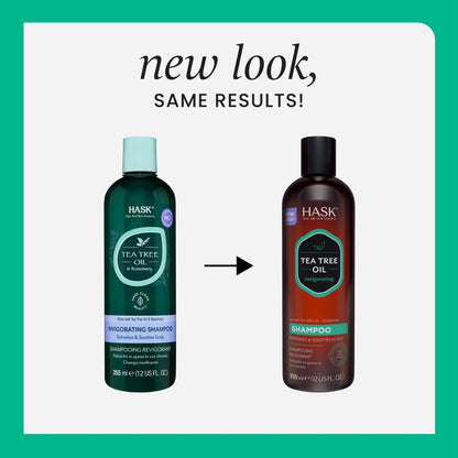 HASK Tea Tree & Rosemary Oil Scalp Care Shampoo - 12 fl oz Avelisse