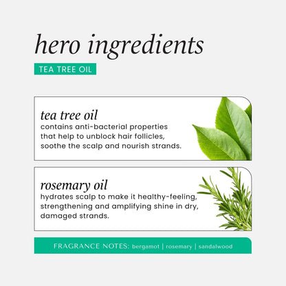 HASK Tea Tree & Rosemary Oil Scalp Care Shampoo - 12 fl oz Avelisse