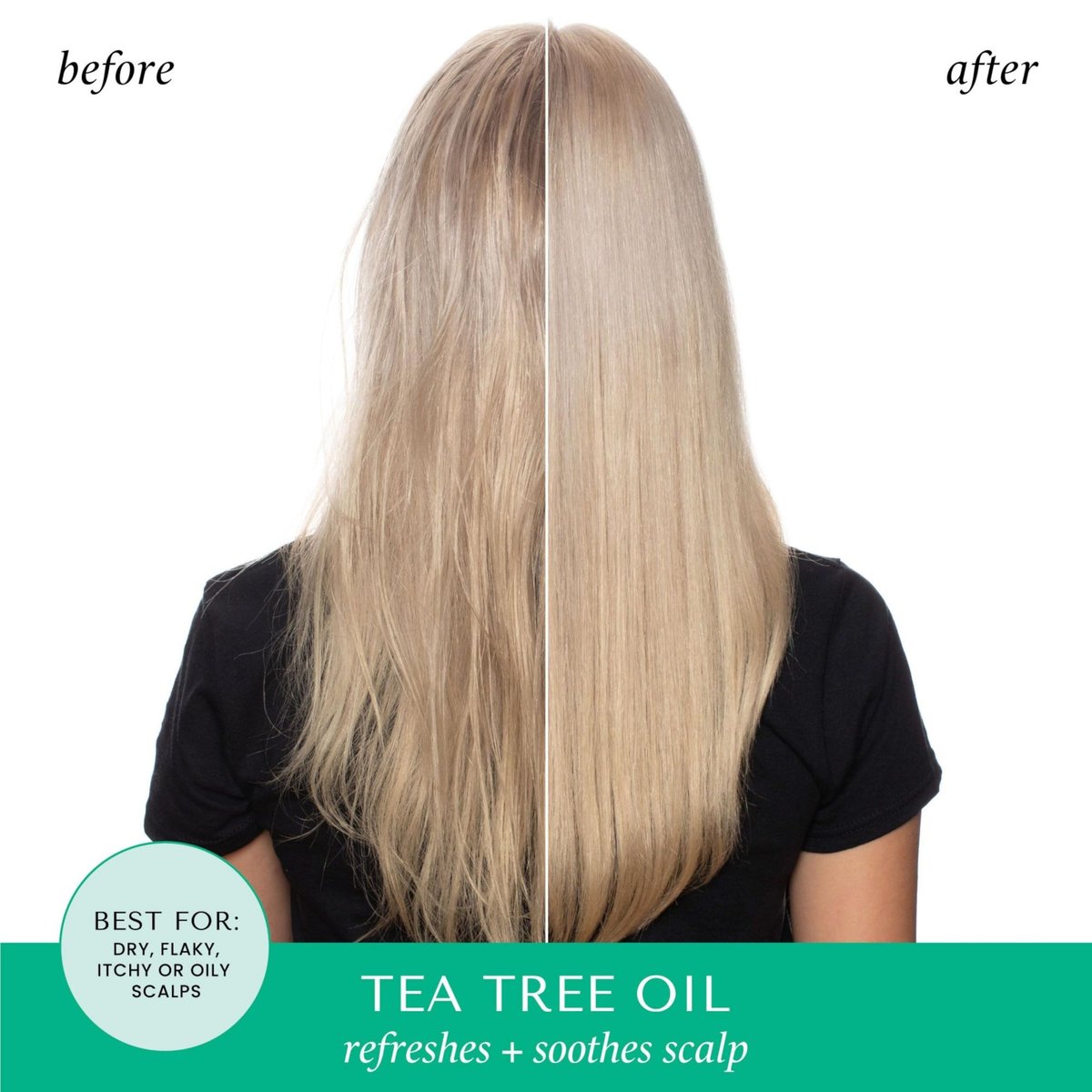 HASK Tea Tree & Rosemary Oil Scalp Care Shampoo - 12 fl oz Avelisse
